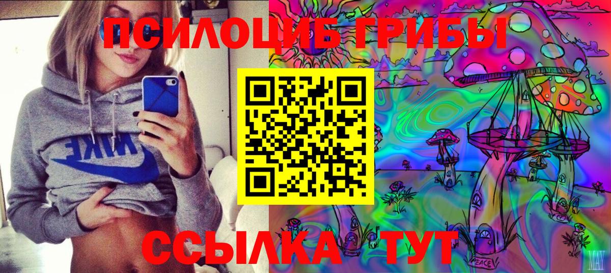 Псилоцибиновые грибы мицелий  Вход с VPN  Сунжа 